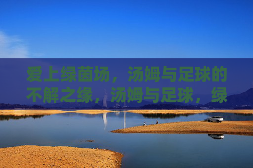 爱上绿茵场，汤姆与足球的不解之缘，汤姆与足球，绿茵场的不解之缘