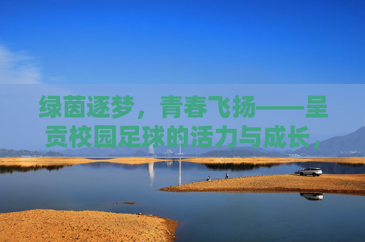 绿茵逐梦，青春飞扬——呈贡校园足球的活力与成长，呈贡校园足球，青春飞扬，活力成长