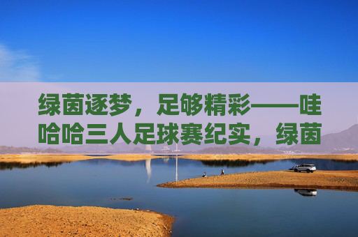 绿茵逐梦，足够精彩——哇哈哈三人足球赛纪实，绿茵逐梦，哇哈哈三人足球赛纪实