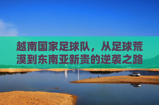 越南国家足球队，从足球荒漠到东南亚新贵的逆袭之路，越南足球，从荒漠到新贵的逆袭之路