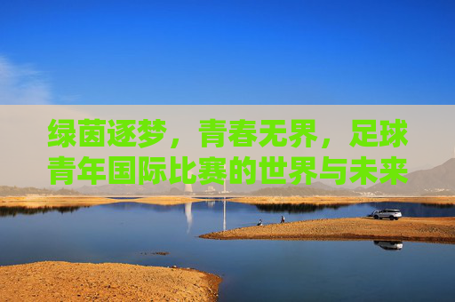 绿茵逐梦,青春无界,足球青年国际比赛的世界与未来,绿茵逐梦,青春无界,足球青年国际比赛的世界与未来 绿茵逐梦,青春无界,足球青年国际比赛的世界与未来,绿茵逐梦,青春无界,足球青年国际比赛的世界与未来