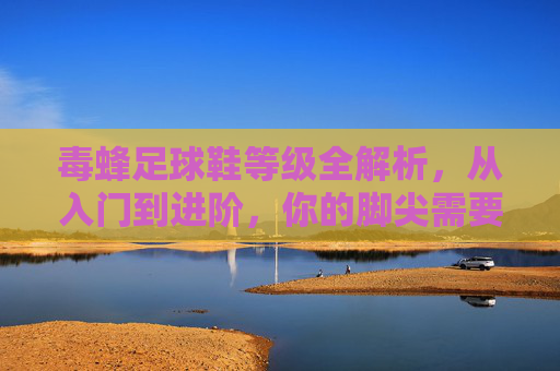 毒蜂足球鞋等级全解析,从入门到进阶,你的脚尖需要哪一级?毒蜂足球鞋等级全解析,从入门到进阶,你的脚尖需要哪一级? 毒蜂足球鞋等级全解析,从入门到进阶,你的脚尖需要哪一级?毒蜂足球鞋等级全解析,从入门到进阶,你的脚尖需要哪一级?