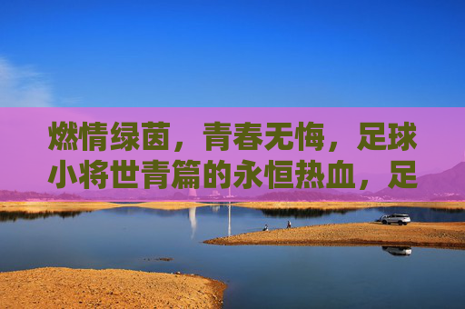 燃情绿茵,青春无悔,足球小将世青篇的永恒热血,足球小将世青篇,燃情绿茵,青春无悔的永恒热血 燃情绿茵,青春无悔,足球小将世青篇的永恒热血,足球小将世青篇,燃情绿茵,青春无悔的永恒热血