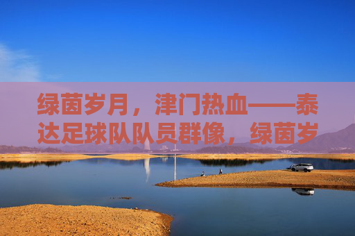 绿茵岁月，津门热血——泰达足球队队员群像，绿茵岁月津门热血，泰达队员群像