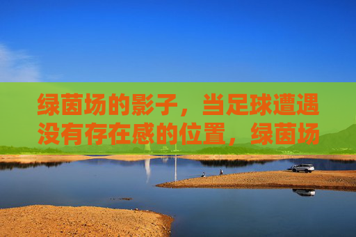 绿茵场的影子,当足球遭遇没有存在感的位置,绿茵场的影子,足球的隐形位置 绿茵场的影子,当足球遭遇没有存在感的位置,绿茵场的影子,足球的隐形位置