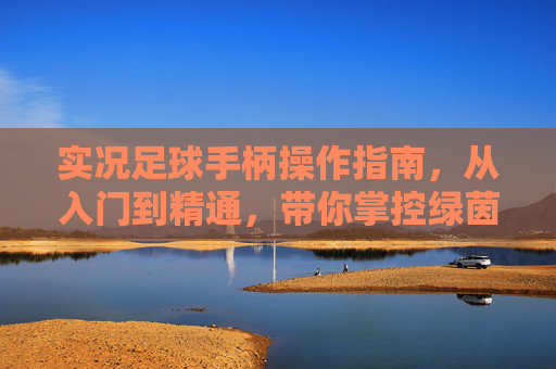 实况足球手柄操作指南,从入门到精通,带你掌控绿茵赛场,实况足球手柄操作从入门到精通,掌控绿茵赛场 实况足球手柄操作指南,从入门到精通,带你掌控绿茵赛场,实况足球手柄操作从入门到精通,掌控绿茵赛场
