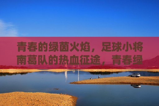 青春的绿茵火焰，足球小将南葛队的热血征途，青春绿茵火焰，南葛队热血征途