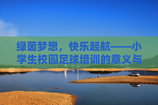 绿茵梦想,快乐起航——小学生校园足球培训的意义与实践 绿茵梦想,快乐起航——小学生校园足球培训的意义与实践