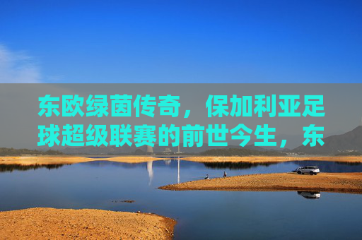 东欧绿茵传奇，保加利亚足球超级联赛的前世今生，东欧绿茵传奇，保加利亚足球超级联赛的前世今生