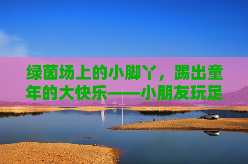 绿茵场上的小脚丫，踢出童年的大快乐——小朋友玩足球介绍语，绿茵小脚丫，踢出童年大快乐