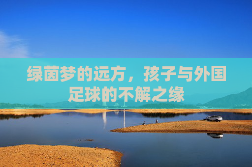 绿茵梦的远方，孩子与外国足球的不解之缘