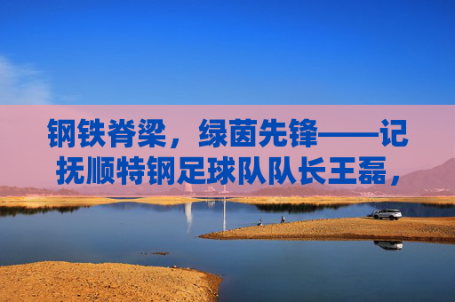 钢铁脊梁，绿茵先锋——记抚顺特钢足球队队长王磊，钢铁脊梁，绿茵先锋——抚顺特钢足球队队长王磊
