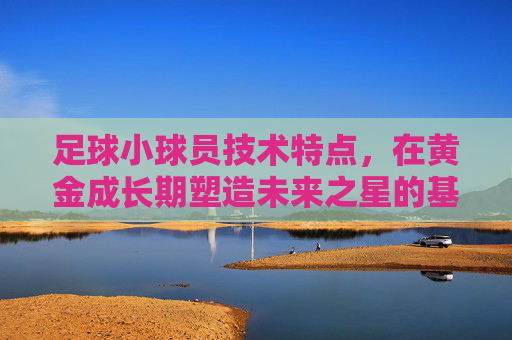 足球小球员技术特点，在黄金成长期塑造未来之星的基石，黄金成长期小球员技术特点，铸就未来之星基石