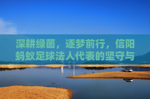 深耕绿茵，逐梦前行，信阳蚂蚁足球法人代表的坚守与担当，信阳蚂蚁足球法人代表，深耕绿茵逐梦，坚守担当前行