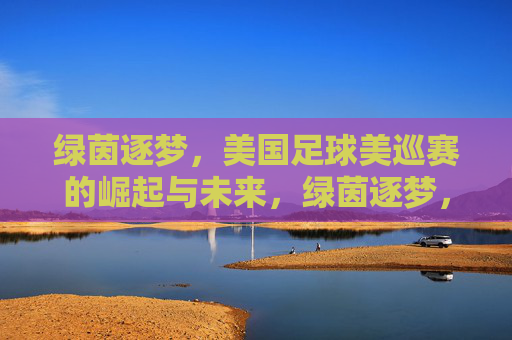 绿茵逐梦，美国足球美巡赛的崛起与未来，绿茵逐梦，美国足球美巡赛的崛起与未来