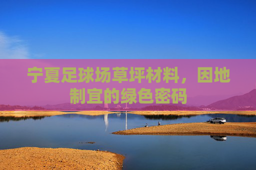 宁夏足球场草坪材料，因地制宜的绿色密码