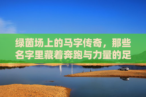 绿茵场上的马字传奇，那些名字里藏着奔跑与力量的足球明星，绿茵马字传奇，奔跑与力量的足球星辰