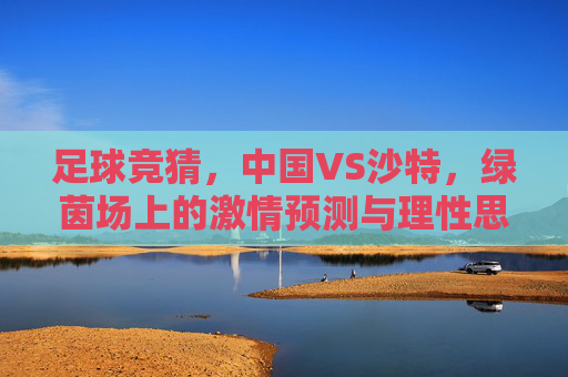 足球竞猜，中国VS沙特，绿茵场上的激情预测与理性思考，中国VS沙特，足球竞猜的激情预测与理性思辨