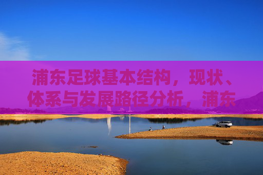 浦东足球基本结构，现状、体系与发展路径分析，浦东足球，结构与体系现状及发展路径分析