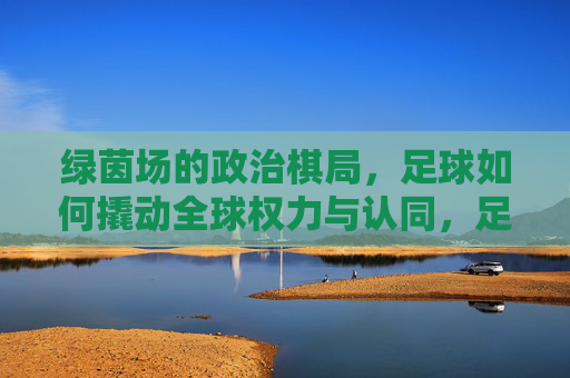 绿茵场的政治棋局，足球如何撬动全球权力与认同，足球撬动全球权力与认同的绿茵棋局
