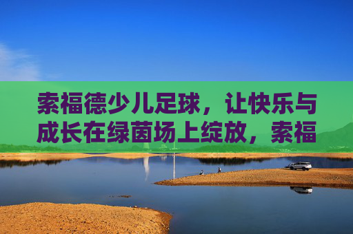 索福德少儿足球，让快乐与成长在绿茵场上绽放，索福德少儿足球，快乐成长绿茵绽放
