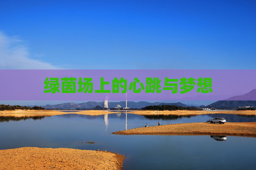 绿茵场上的心跳与梦想